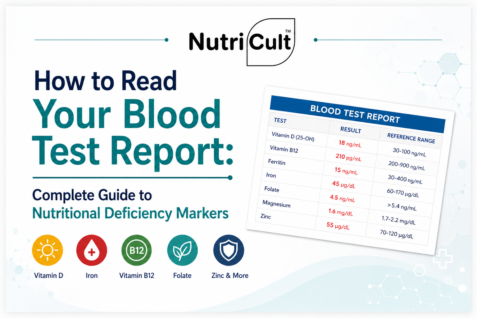 How to Read Your Blood Test Report: Complete Guide to Nutritional Deficiency Markers