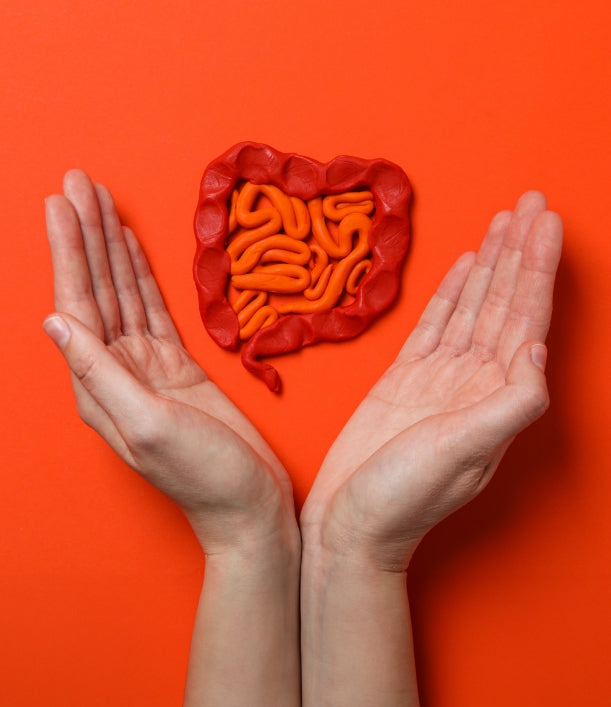 7 Proven Benefits of Probiotics for Gut Health