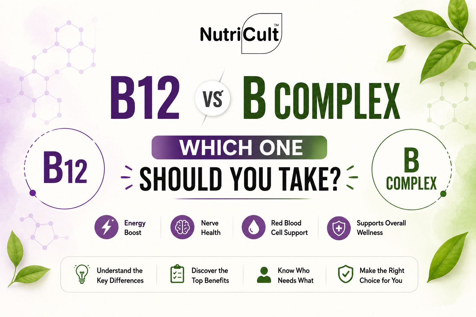 b12-vs-b-complex
