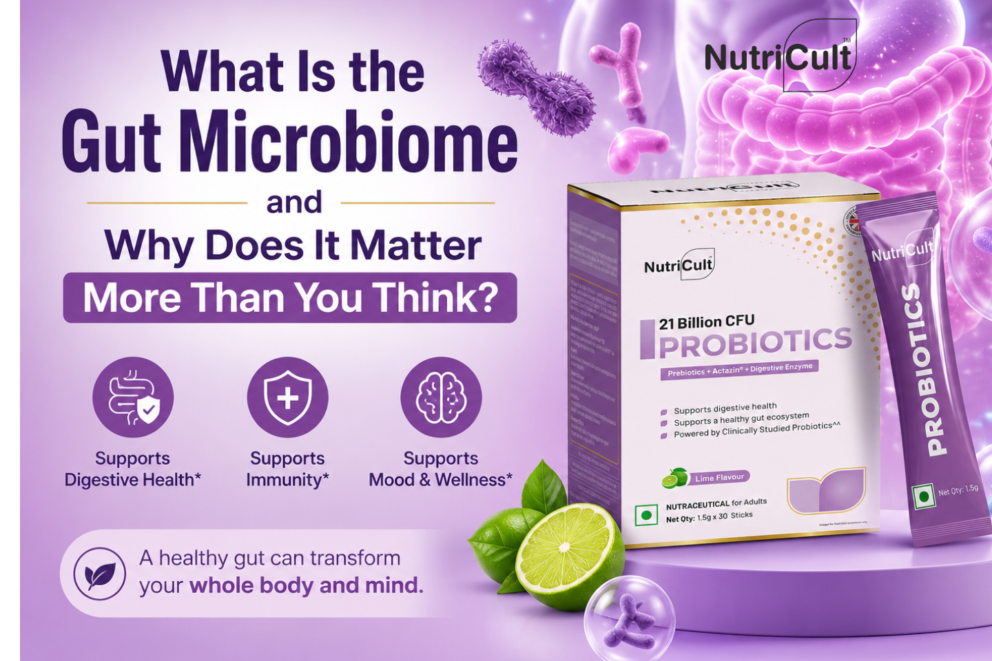 Gut Microbiome and Why Does It Matter More Than You Think