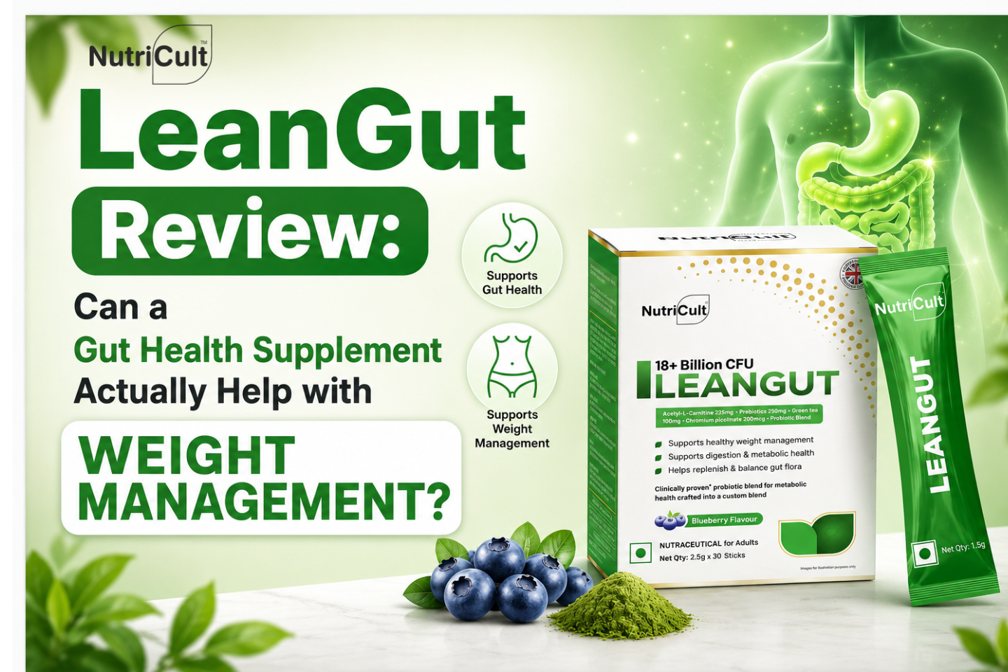 LeanGut Review: Can a Gut Health Supplement Actually Help with Weight Management