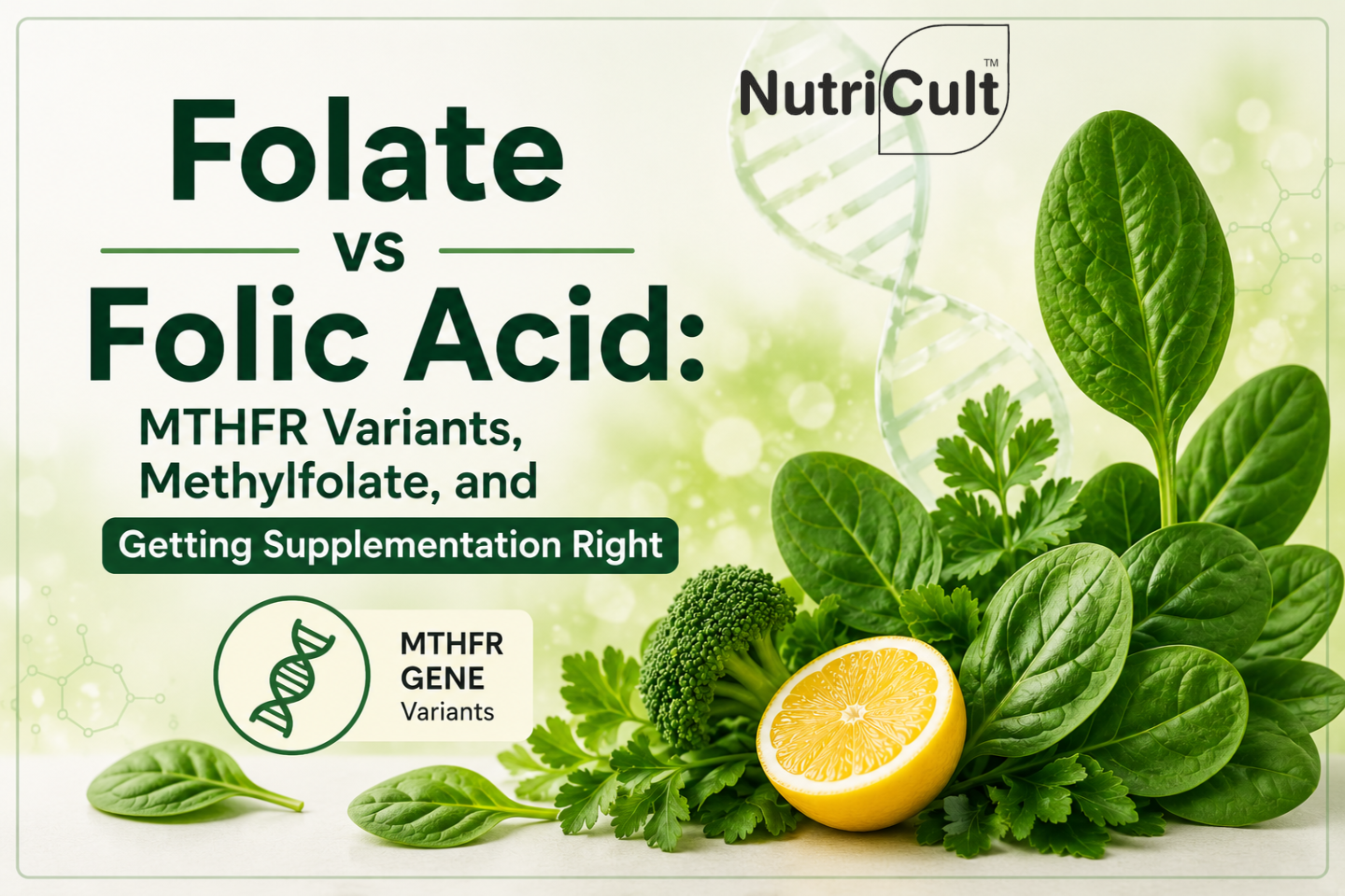Folate vs Folic Acid